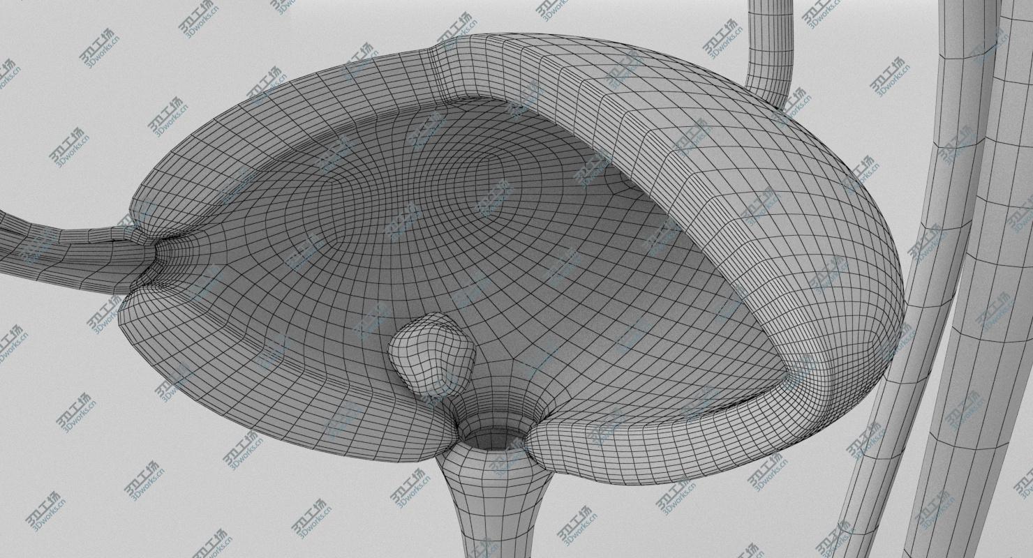 images/goods_img/2021040164/3D Female Urinary Tract/5.jpg